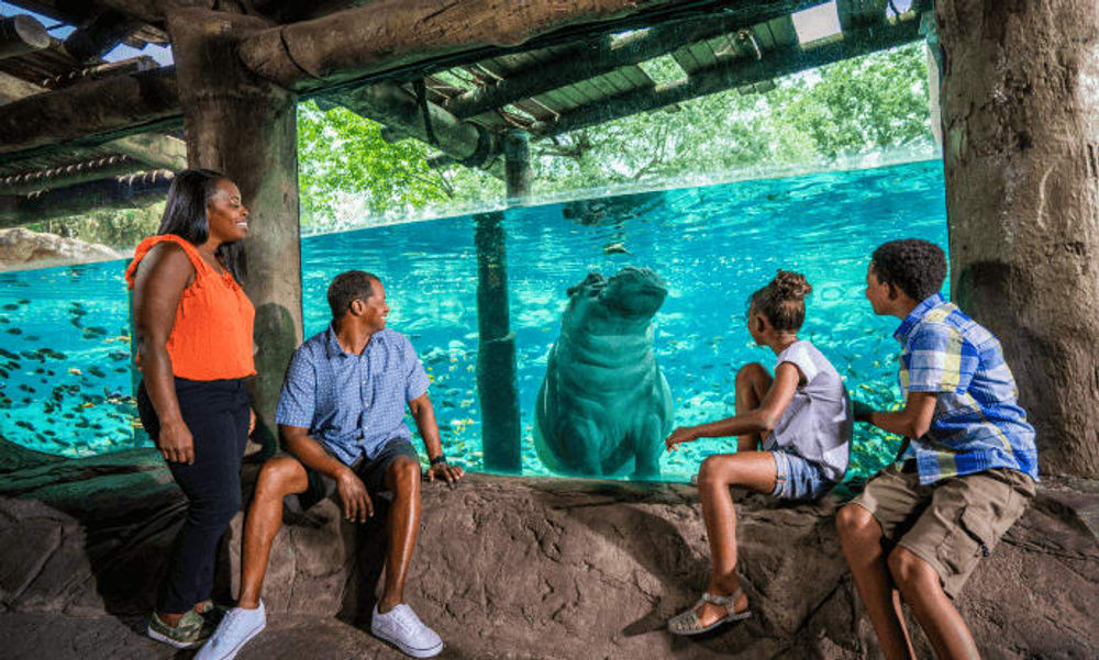 Busch Gardens Tampa