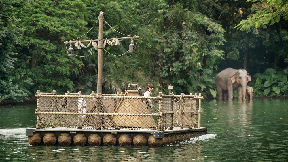 Rafts to Tarzan's Treehouse
