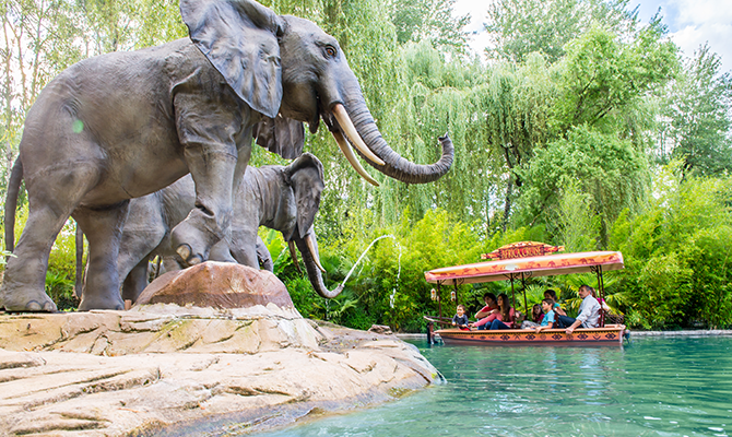 Africa Cruise